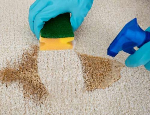 Como limpiar  una mancha en la alfombra con bicarbonato