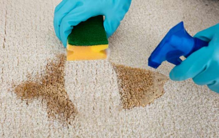 Como Limpiar una mancha de la alfombra