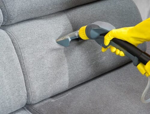Desinfectar sofa casa: ¿Por qué fallan los métodos caseros?
